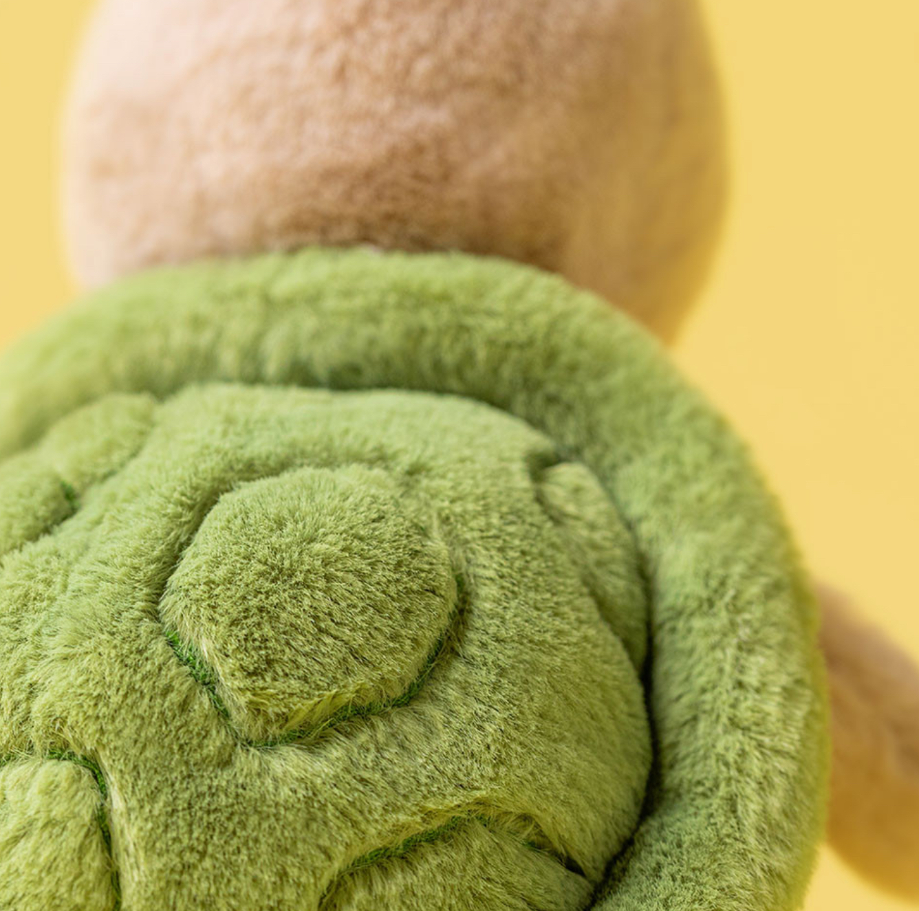 Żółwica Thimble 16 cm IMG_0543