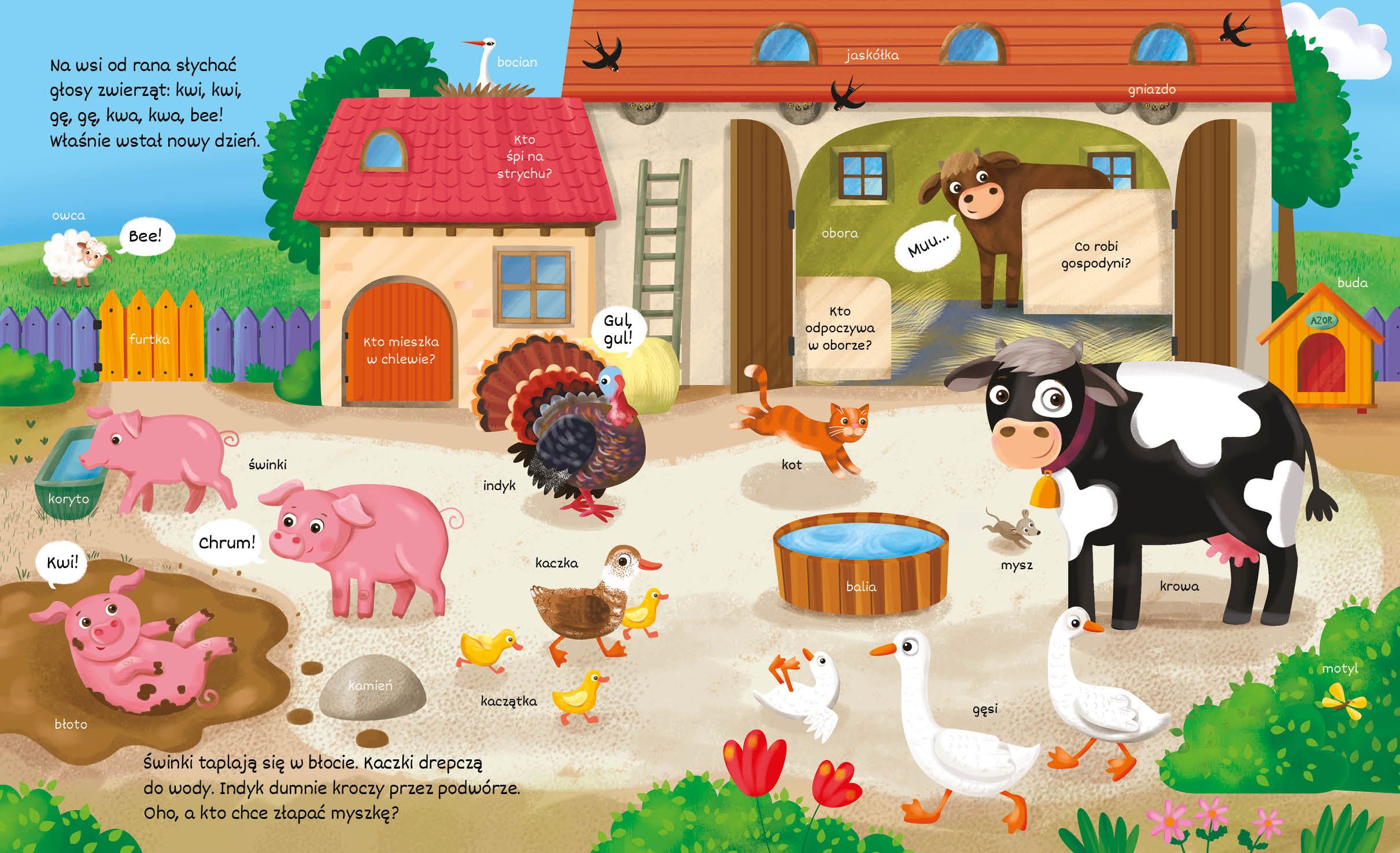 Odkryj i znajdź. Na wsi IMG_0583