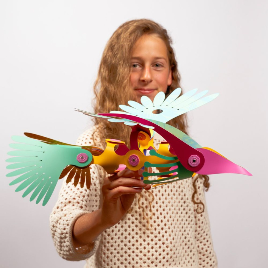 Clixo Tropical Birds