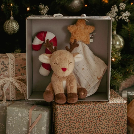 Little Dutch Zestaw prezentowy X-MAS