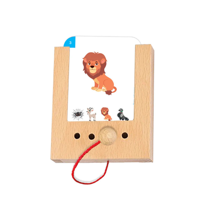 Rozpoznawanie Zwierząt. Karty WiemTo dla dzieci 2+