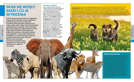 Encyklopedia ssaków