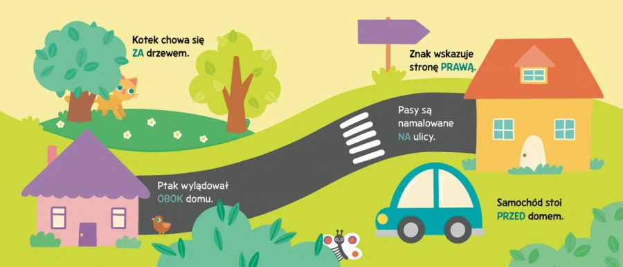 Paluszkowo. Poznaj kierunki