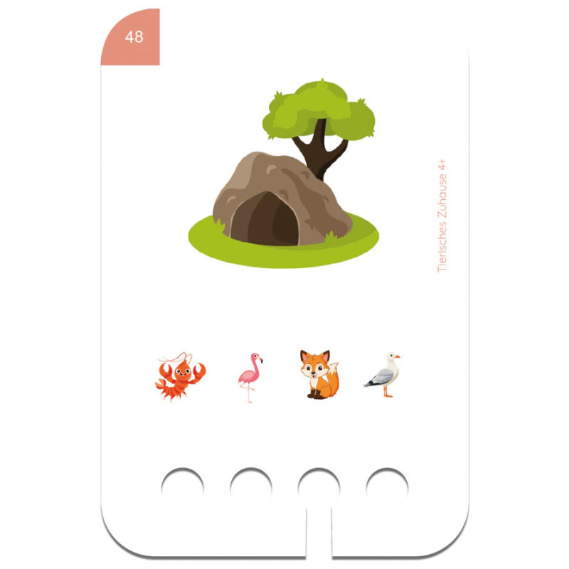 Zwierzęta i ich Domy. Karty WiemTo dla dzieci 4+