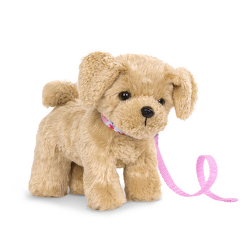 Szczeniaczek z regulowanymi kończynami – GOLDENDOODLE