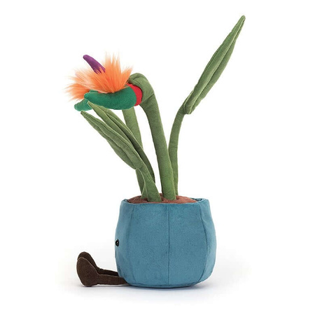 Wesoła Strelicja Królewska 38  cm