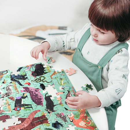 Puzzle uczmy się, owady świata