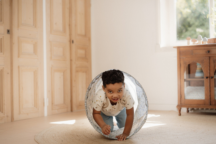 Little Dutch Tunel Forest Friends - Little Dutch 