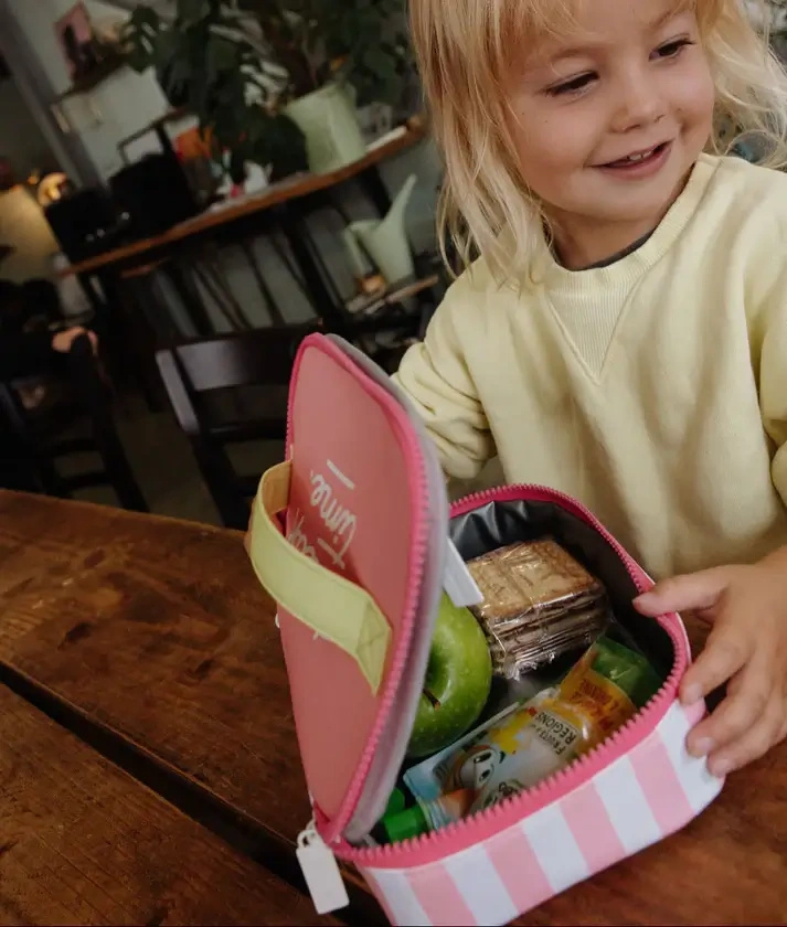 Hello Hossy Lunchbox Mini Pink Stripes