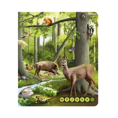 Książka Świat Zwierząt - Czytaj z Albikiem