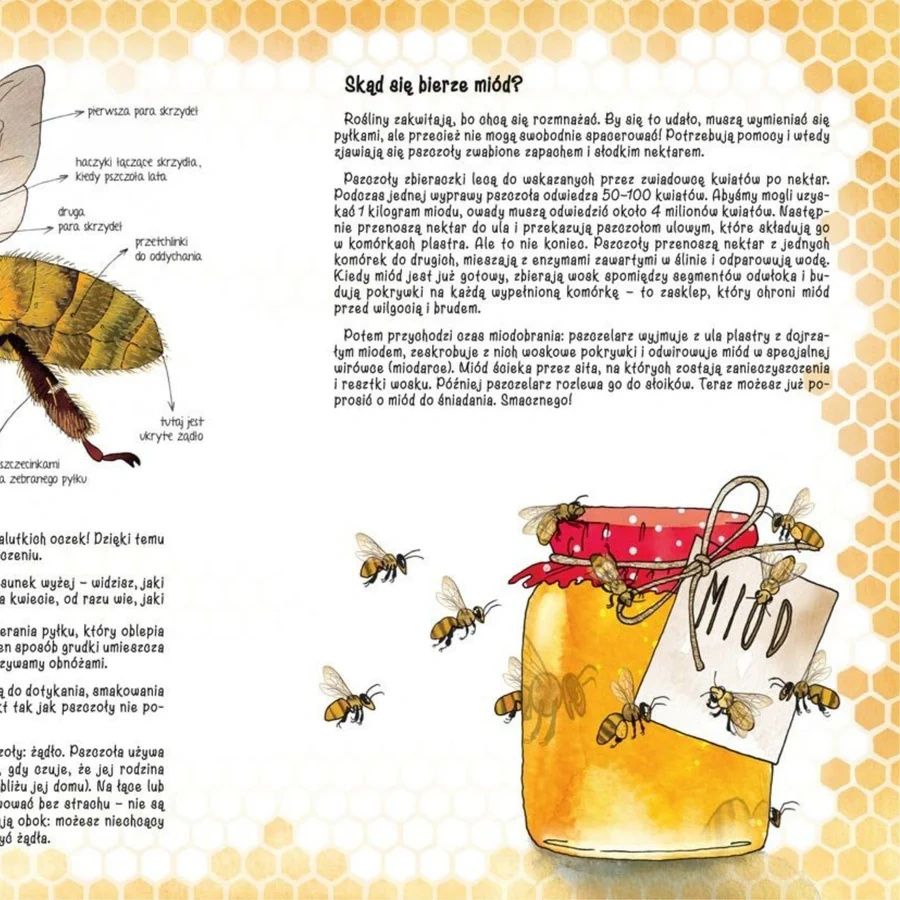 Opowiem ci, mamo, skąd się bierze miód