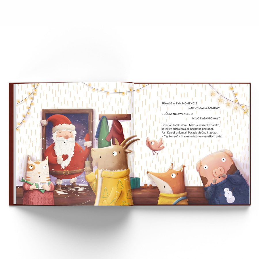  Słomka - kotek, który czekał na gwiazdkę