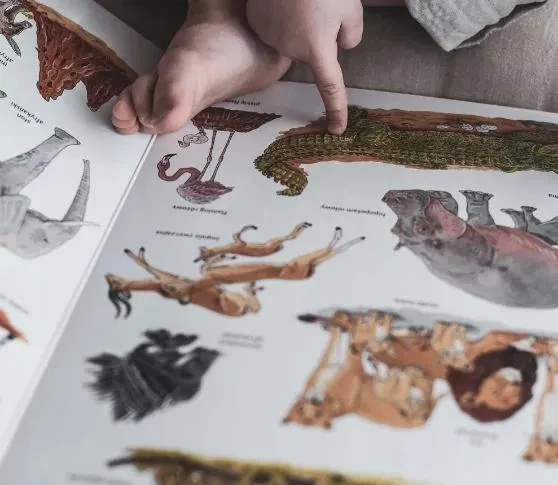 Wielka księga zwierząt. Ponad 150 gatunków