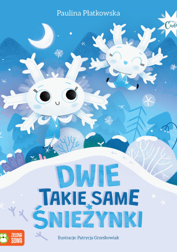 Dwie takie same śnieżynki