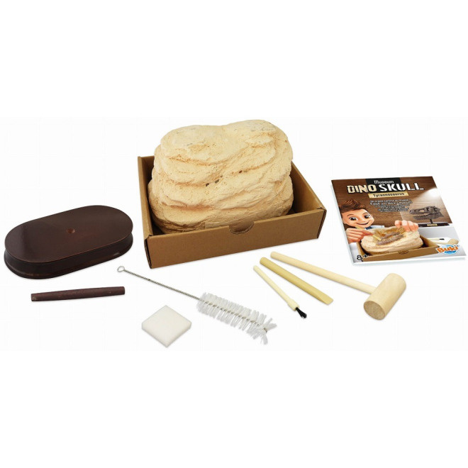 MUZEUM CZASZEK DINOZAURA TYRANOZAUR