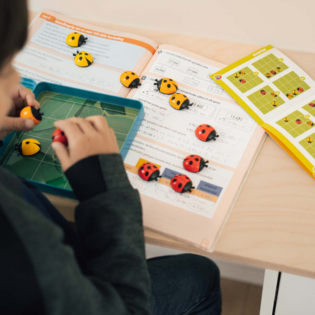 Smart Games Biedroneczki (PL) IUVI Games