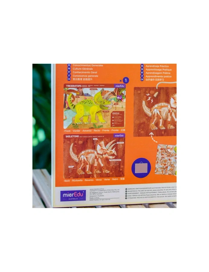 Zabawa magnetyczna, triceratops