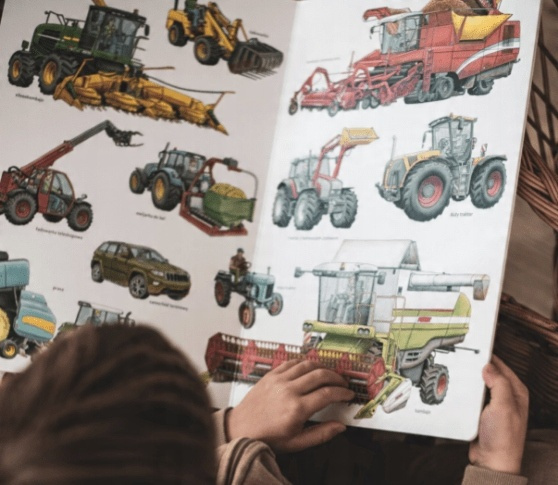 Wielka księga pojazdów. Dźwig, traktor, koparka 