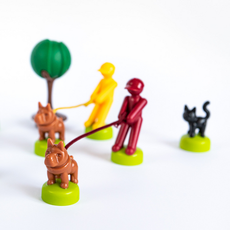 Smart Games Psiaki Na Spacerze (PL) IUVI Games