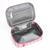Hello Hossy Lunchbox Mini Pink Stripes