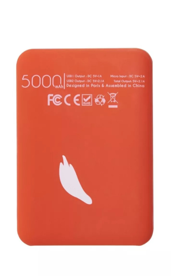 Powerbank Lis (5000 mAh)