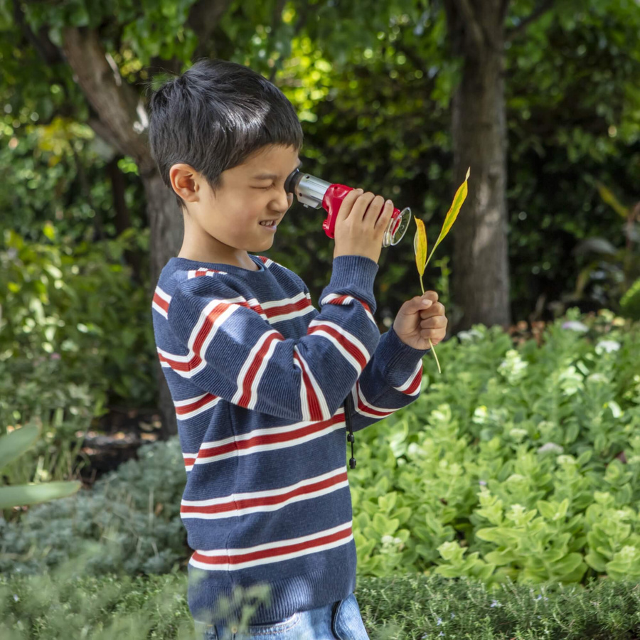 Tiger Tribe Zestaw Małego Odkrywcy - Mikroskop Tiger Tribe 
