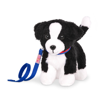 Szczeniaczek z regulowanymi kończynami – BORDER COLLIE