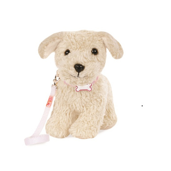 Szczeniak pudel toy