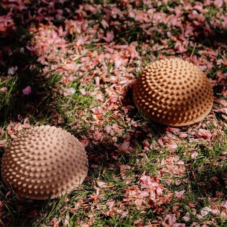 Ścieżka sensoryczna, wschód słońca