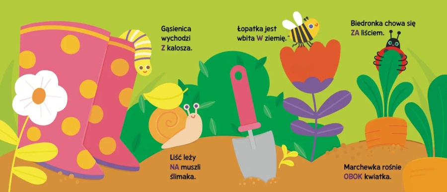 Paluszkowo. Poznaj kierunki