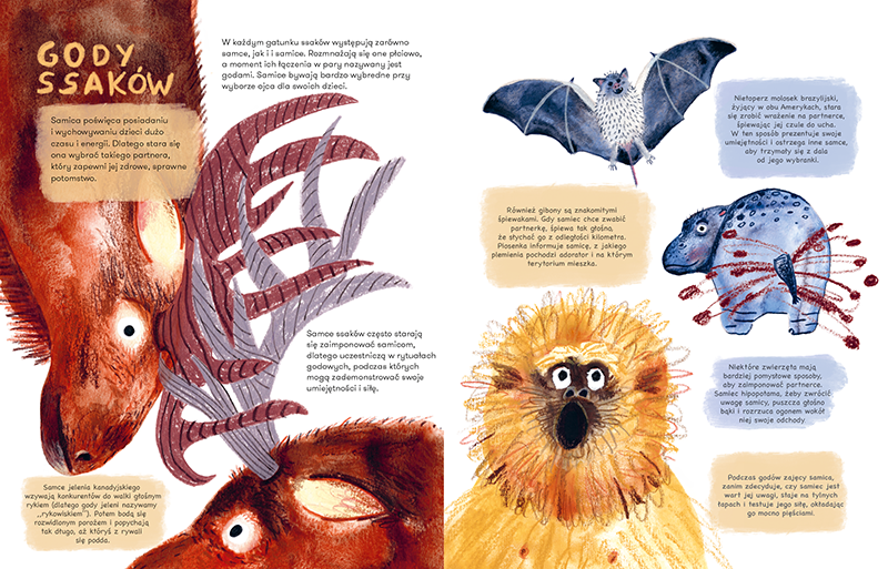 Ssaki. Jak się rozmnażają i opiekują młodymi - Wydawnictwo Kropka