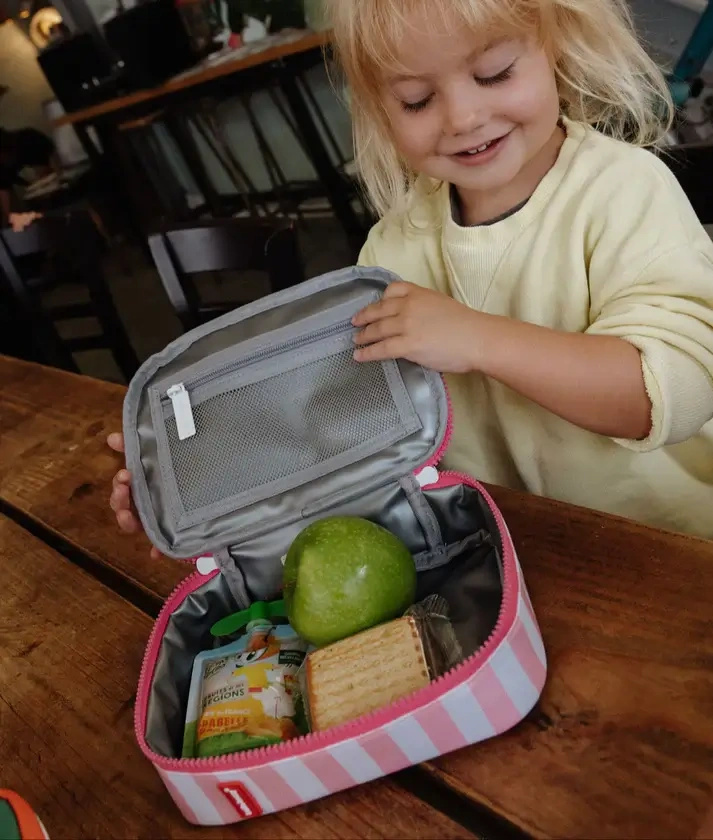 Hello Hossy Lunchbox Mini Pink Stripes