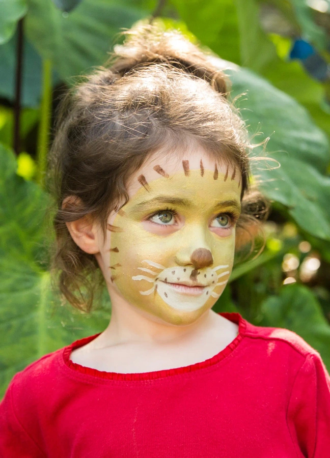 Zestaw do malowania twarzy 3 kolory - Lew i Żyrafa