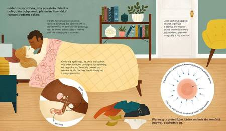 Akademia mądrego dziecka Jak powstaje dziecko