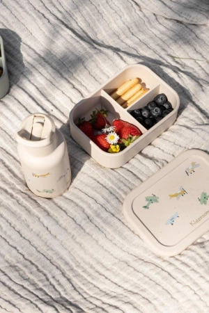 Lunchbox pojemnik silikon KIDZROOM Small Aeroplane