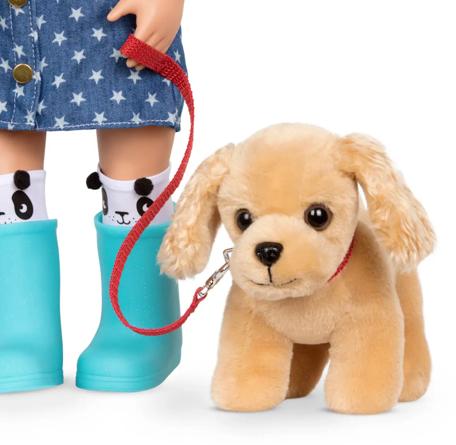 Cocker Spaniel w torebce, z akcesoriami