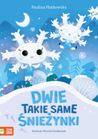 Dwie takie same śnieżynki