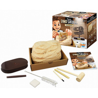 MUZEUM CZASZEK DINOZAURA TYRANOZAUR