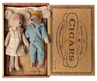 Myszki mamy i taty w pudełku na cygara