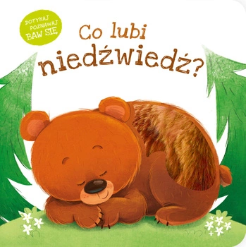 Boardbook sensoryczny, co lubi niedźwiedź?